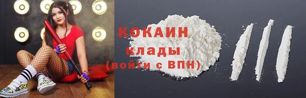 крисы Краснослободск