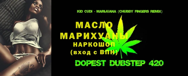 крисы Краснослободск