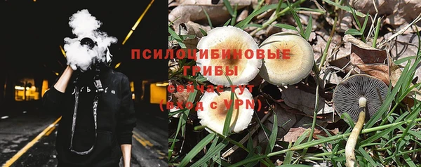 крисы Краснослободск