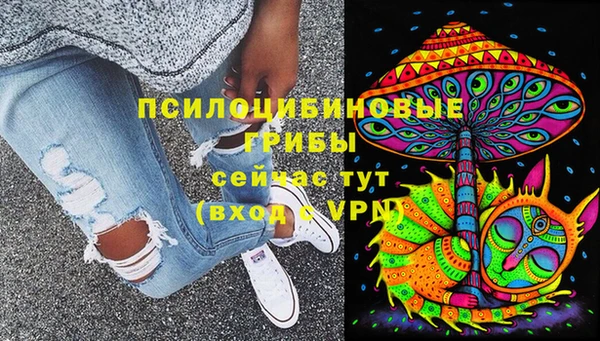 дживик Краснотурьинск